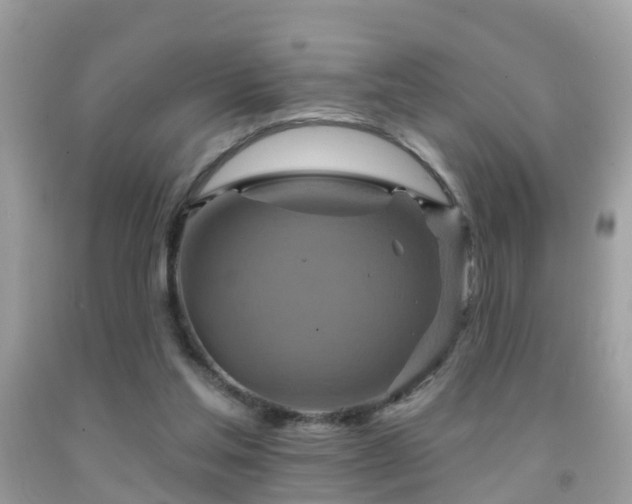 X0000091930205200709051508