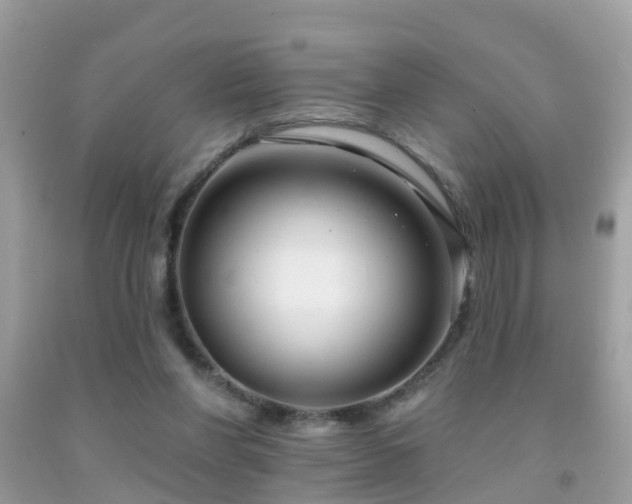 X0000091930206200709051508