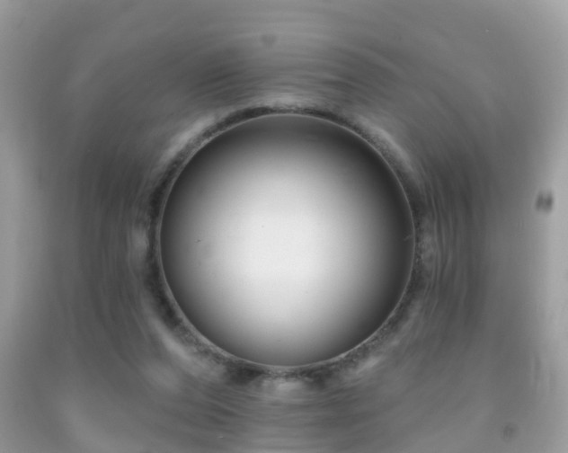 X0000091930208200709051508