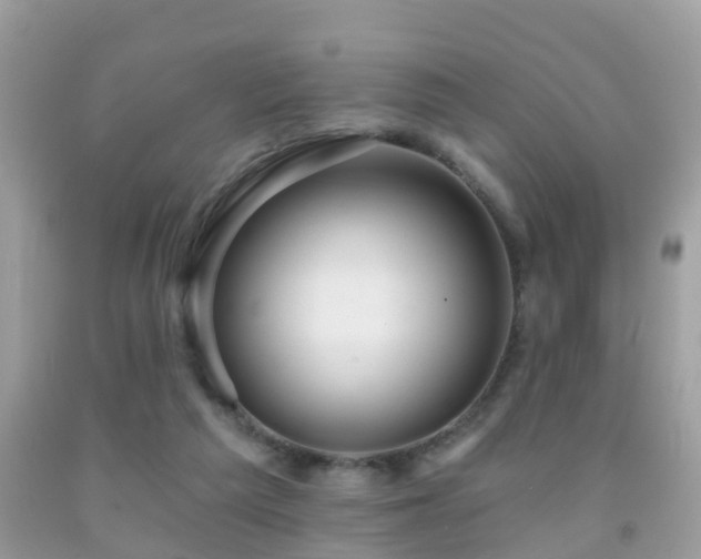 X0000091930209200709051508