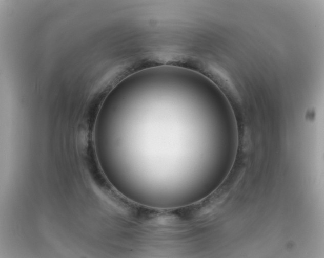 X0000091930210200709051508