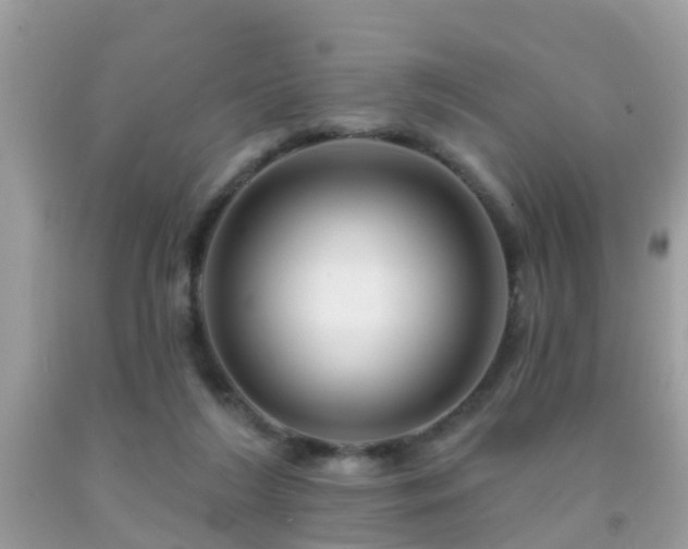X0000091930212200709051508