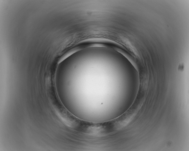 X0000091930213200709051508
