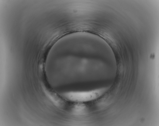 X0000091930214200709051508