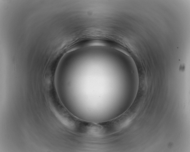 X0000091930215200709051508