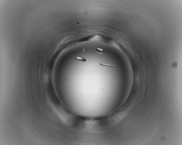 X0000091930216200709051508