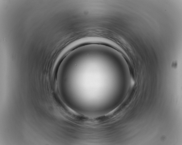 X0000091930217200709051508