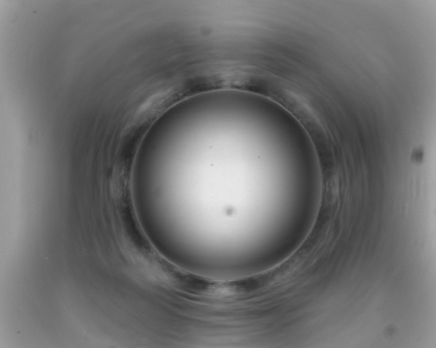 X0000091930218200709051508