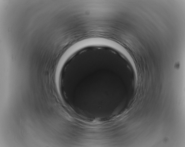 X0000091930219200709051508