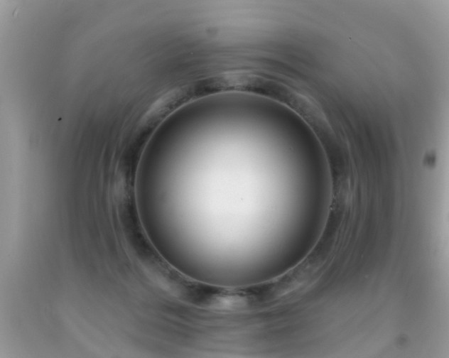 X0000091930220200709051508