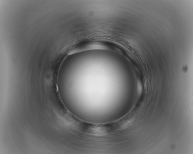 X0000091930221200709051508