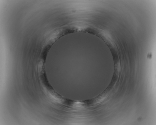X0000091930222200709051508