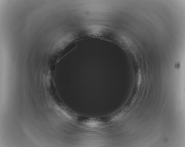 X0000091930223200709051508