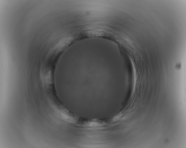 X0000091930224200709051508