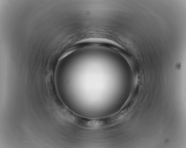 X0000091930225200709051508