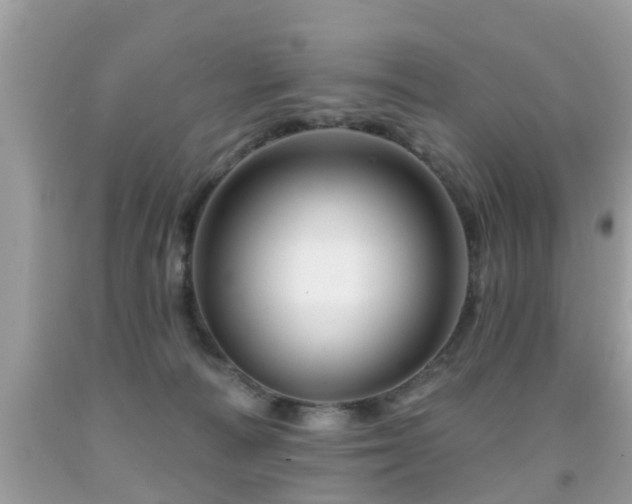 X0000091930226200709051508
