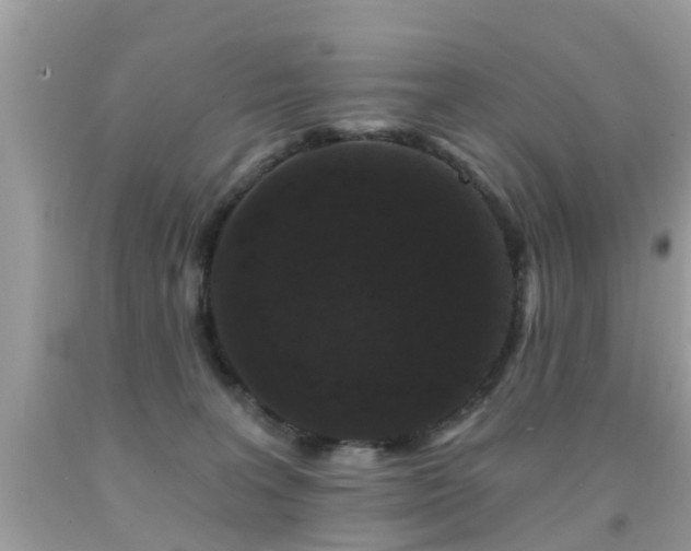 X0000091930227200709051508