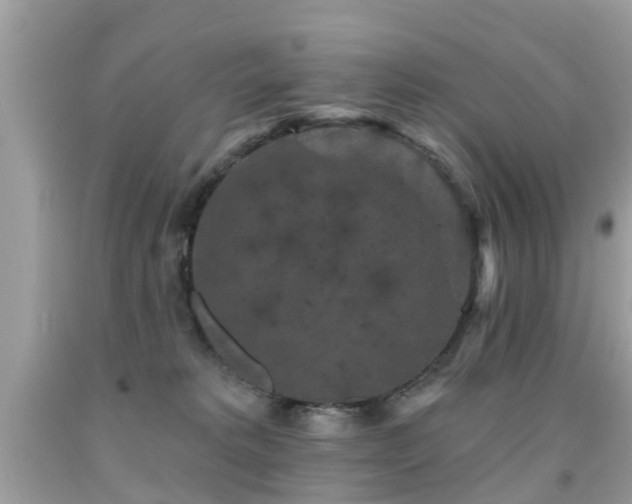 X0000091930229200709051508