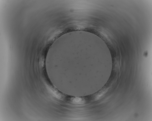 X0000091930230200709051508