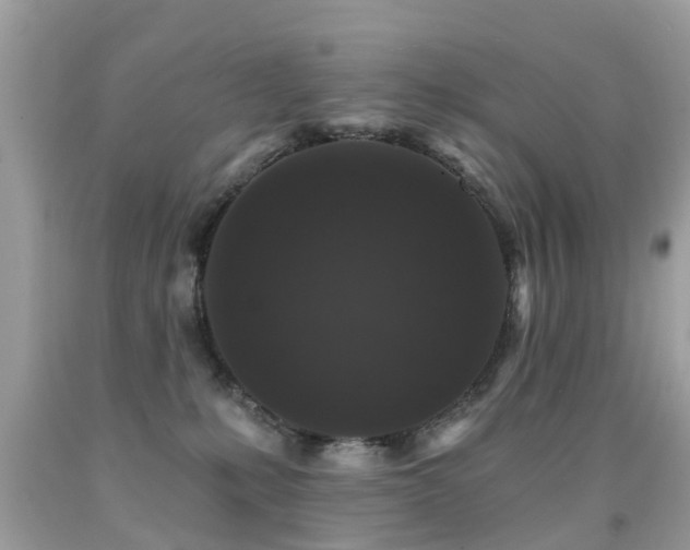 X0000091930231200709051508