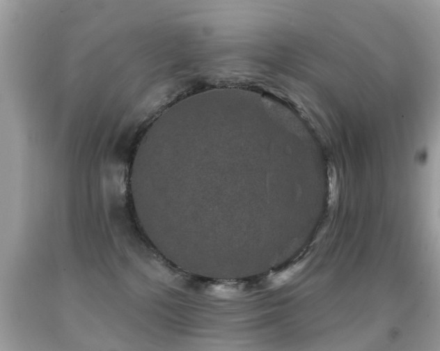 X0000091930232200709051508