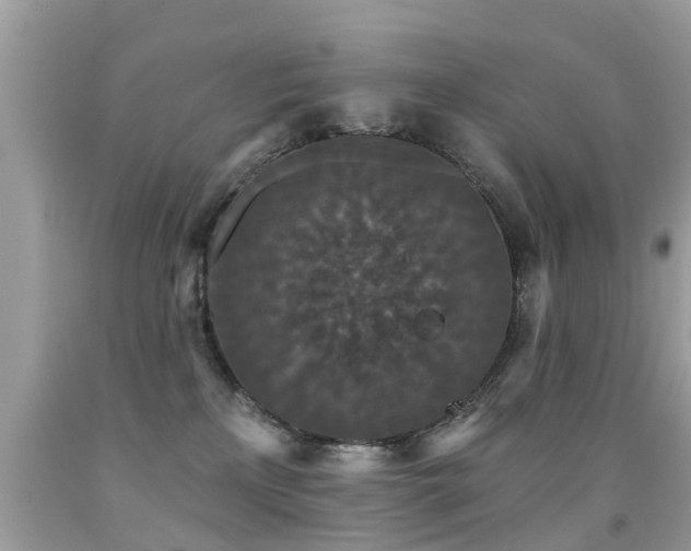 X0000091930233200709051508