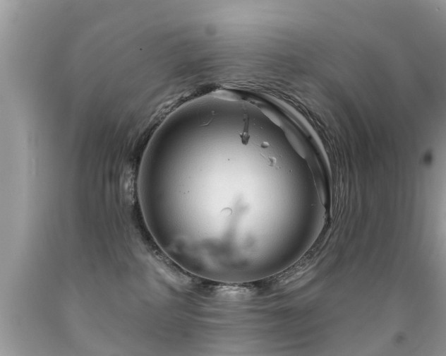 X0000091930234200709051508