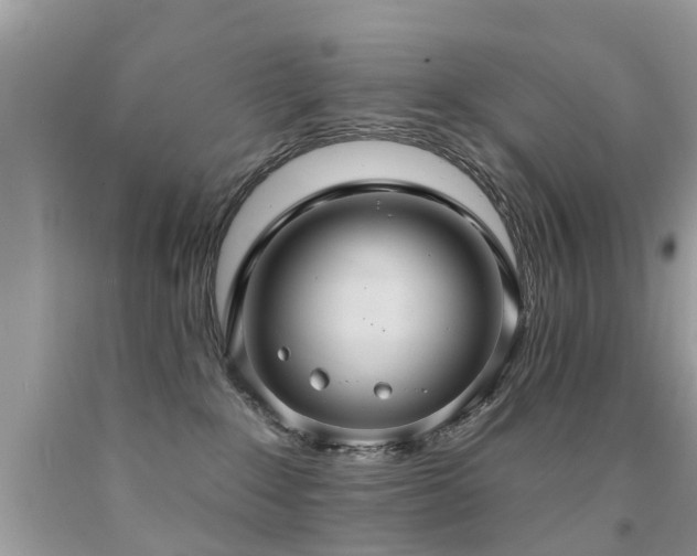 X0000091930235200709051508