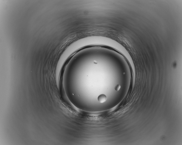 X0000091930237200709051508