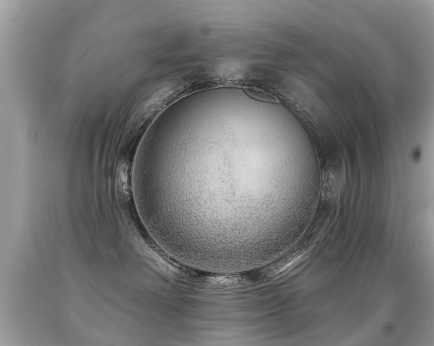 X0000091930238200709051508