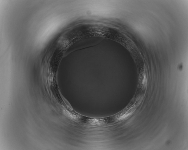 X0000091930239200709051508
