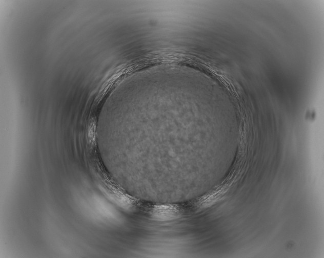 X0000091930240200709051508
