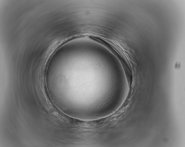 X0000091930241200709051507