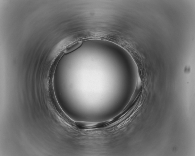 X0000091930242200709051507