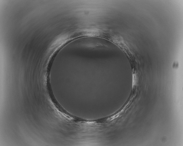 X0000091930243200709051507