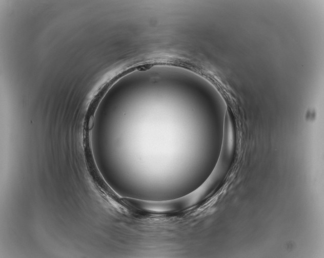 X0000091930244200709051507