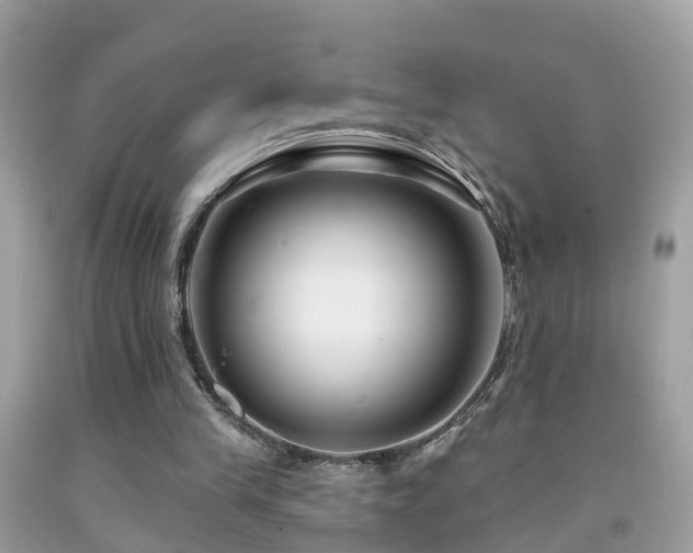 X0000091930245200709051507
