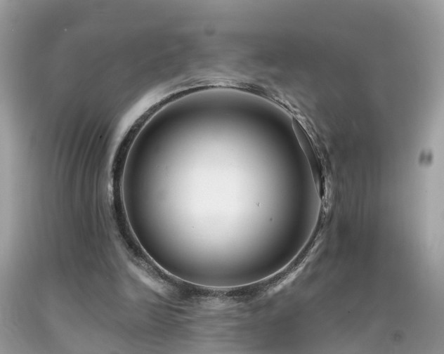 X0000091930246200709051507