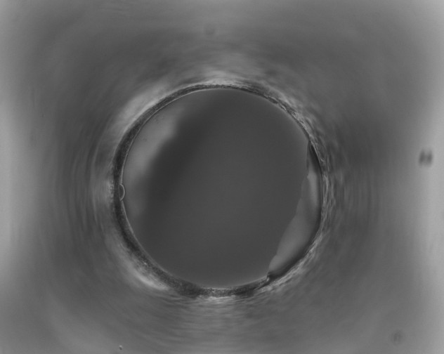 X0000091930247200709051507
