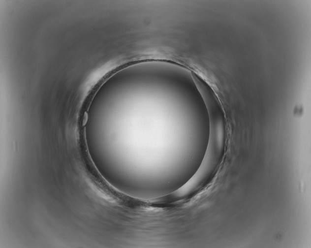 X0000091930248200709051507