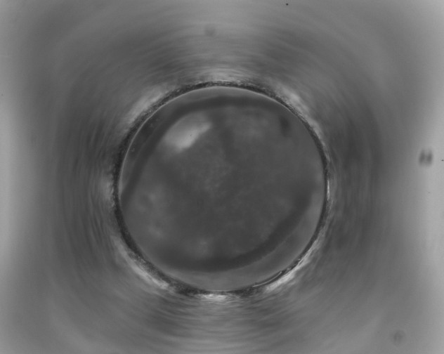 X0000091930249200709051507