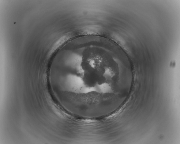 X0000091930250200709051507