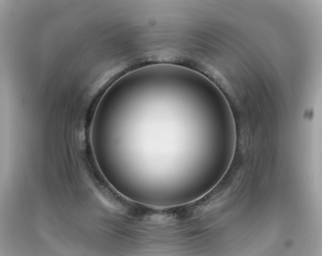 X0000091930251200709051507
