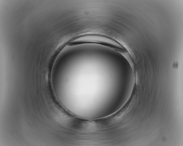 X0000091930253200709051507