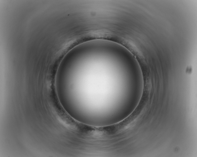 X0000091930255200709051507
