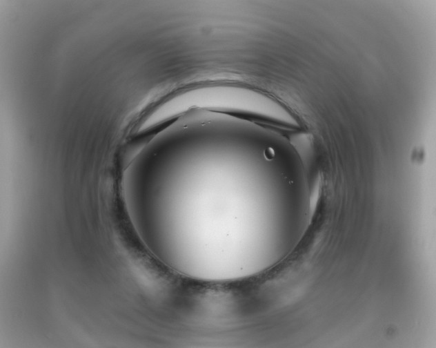 X0000091930256200709051507