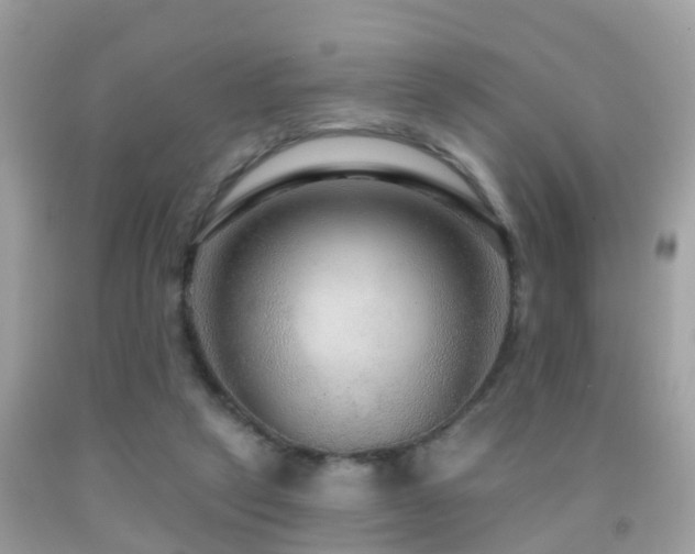 X0000091930257200709051507