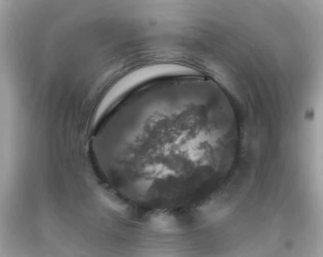 X0000091930258200709051507