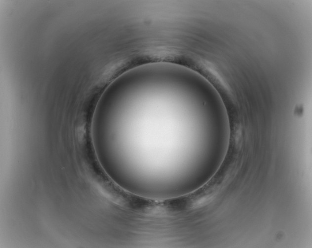 X0000091930259200709051507