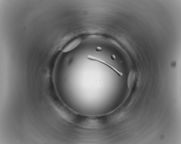 X0000091930260200709051507
